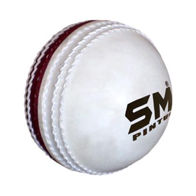 SM Cricket Incrediball