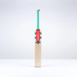 Gray Nicolls Ventus 1.0 300