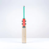 Gray Nicolls Ventus 1.0 200