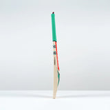 Gray Nicolls Ventus 1.0 200