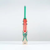 Gray Nicolls Ventus 1.0 300