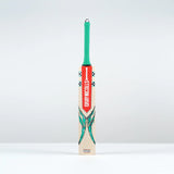 Gray Nicolls Ventus 1.0 200