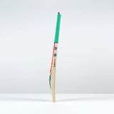 Gray Nicolls Ventus 1.0 300