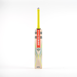 Gray Nicolls Tempesta Gen 1.0 4 Star