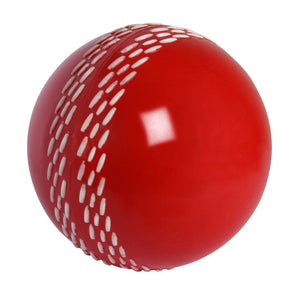 Gray Nicolls Velocity Cricket Ball