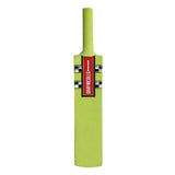 Gray Nicolls Cloud Catcher