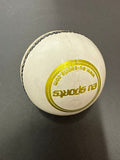 Cricket Practice Balls