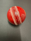 Cricket Practice Balls