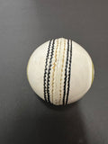 Cricket Practice Balls