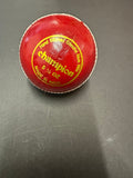 Cricket Practice Balls