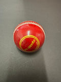 Cricket Practice Balls