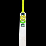 GS Fierce Edition Cricket Bat