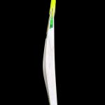 GS Fierce Edition Cricket Bat