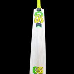 GS Fierce Edition Cricket Bat
