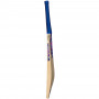 GM Galaxy Cricket Bat