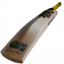 GM Psyche Cricket Bat