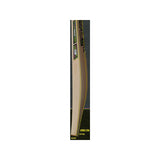 GM Pysche Cricket Bat
