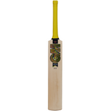 GM Pysche Cricket Bat