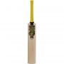 GM Psyche Cricket Bat