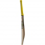 GM Pysche Cricket Bat