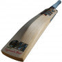 GM Rival Cricket Bat