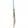 GM Rival Cricket Bat