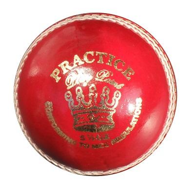 PlayPoint Practice Cricket Ball